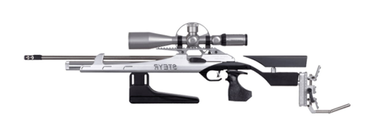 Field target shooting